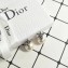 Dior Earrings 08 2018