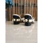 Gucci Calfskin Leather High-heel Web Details Pearls Trim Slipper 2017