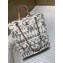 Chanel Printed Toile Large Shpping Bag Beige A91746 2018