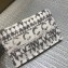 Chanel Printed Toile Clutch Bag Beige A91749 2018