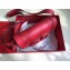 Valentino Supervee Calfskin Crossbody Large Bag Red 2020