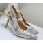 Dior Heel 9.5cm J'Adior Slingback Braided Pumps Silver 2020