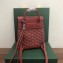 Goyard Alpin Mini Backpack Bag Red