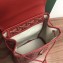 Goyard Alpin Mini Backpack Bag Red