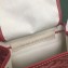 Goyard Alpin Mini Backpack Bag Red