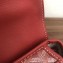 Goyard Alpin Mini Backpack Bag Red