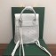 Goyard Alpin Mini Backpack Bag White
