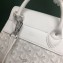 Goyard Alpin Mini Backpack Bag White