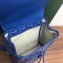 Goyard Alpin Mini Backpack Bag Blue