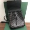 Goyard Alpin Mini Backpack Bag Black