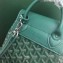 Goyard Alpin Mini Backpack Bag Green