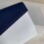 Celine Diagonal Large Flap Multifunction Wallet Blue/White