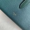 Celine Large Strap Multifunction Wallet in Grained Calfskin Dark Green
