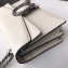 Gucci Dionysus Small Shoulder Bag 400249 Leather White 01