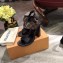 Louis Vuitton Heel 10cm Passenger Sandals Black 2020