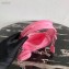 Prada Re-Edition 1995 Nylon Mini Hobo Bag 1BC114 Pink 2020