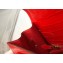Hermes Kelly 25cm/28cm Bag in Alligator Embossed Leather Red