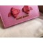 Miu Miu Leather Pocket Wallet 5MV204 Bow Pink/Red