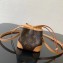 Louis Vuitton Monogram Canvas Bucket Mini Bag 2020