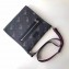 Gucci GG Black Messenger Bag 474137 Tiger Print