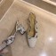 Chanel Heel 6.5cm Slingbacks G31318 Logo White 2020