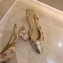 Chanel Heel 6.5cm Slingbacks G31318 Logo Beige 2020