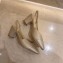 Chanel Heel 6.5cm Slingbacks G31318 Gold 2020