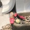 Prada Heel 7cm Patent Leather Triangle Logo Mules Patent Pink 2020