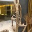 Jimmy Choo Heel 10cm LANG/LANCE Sandals Patent Nude 2020