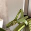 Fendi Promenade Slingbacks Sandals Leather Green with Wide Topstitched Band 2020