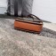 Celine Triomphe Canvas Teen Triomphe Bag 2020