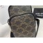 Celine Triomphe Canvas Mini Pocket Messenger Bag 2020