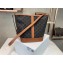 Celine Triomphe Canvas Medium Bucket Bag Brown 2020