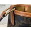 Celine Triomphe Canvas Medium Bucket Bag Brown 2020