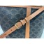 Celine Triomphe Canvas Medium Bucket Bag Brown 2020