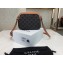 Celine Triomphe Canvas Small Camera Bag 2020