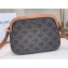 Celine Triomphe Canvas Small Camera Bag 2020
