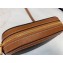 Celine Triomphe Canvas Small Camera Bag 2020