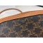 Celine Triomphe Canvas Small Camera Bag 2020
