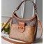 Louis Vuitton Monogram Reverse Canvas Dauphine Small Hobo Bag M44395 2020