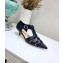 Dior Sauvage Heel 3.5cm Calfskin Pumps Black 2020