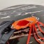 Prada Re-Edition Nylon Mini Shoulder Bag 1TT122 Orange 2020