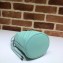 Gucci Leather GG Marmont Double G Mini Bucket Bag 575163 Pastel Green 2020