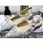 Dior J'Adior Slingback Ballet Flats Toile de Jouy Embroidered Gray 2020