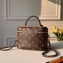 Louis Vuitton Monogram Canvas and Reverse Vanity PM Bag M45165 2020