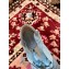 Gucci Double G Espadrilles Sandals Pastel Blue with Grosgrain Lace-up 2020
