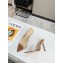 Gianvito Rossi Heel 10.5cm PVC Elle Mules Transparent/Brown 2020