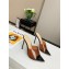 Gianvito Rossi Heel 10.5cm PVC Elle Mules Coffee/Black 2020