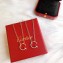 Cartier juste un clou necklace White Gold and Pink Gold