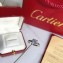 Cartier Solitaire 1895 Ring